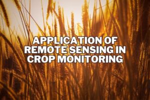 Powerful Application Of Remote Sensing In Crop Monitoring Spatial Post