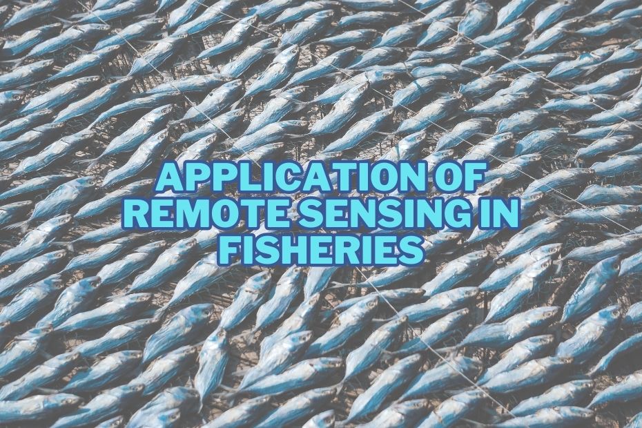 Application of Remote Sensing In Fisheries