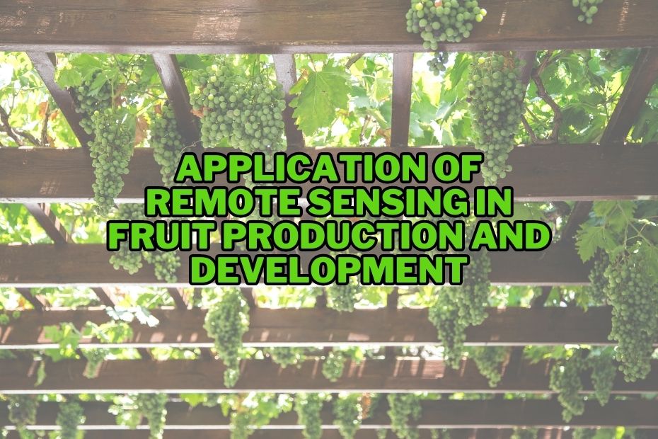 Application of Remote Sensing In Fruit Production and Development